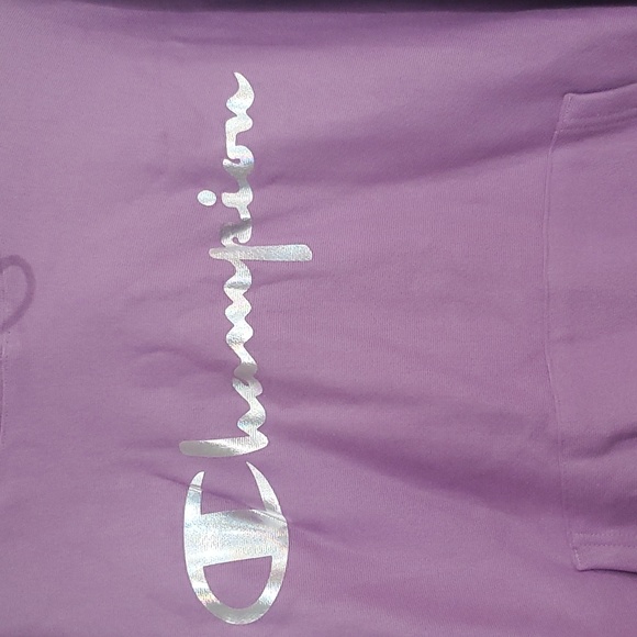 NWOT CHAMPION reverse weave hooded sweatshirt size Large - Picture 2 of 4